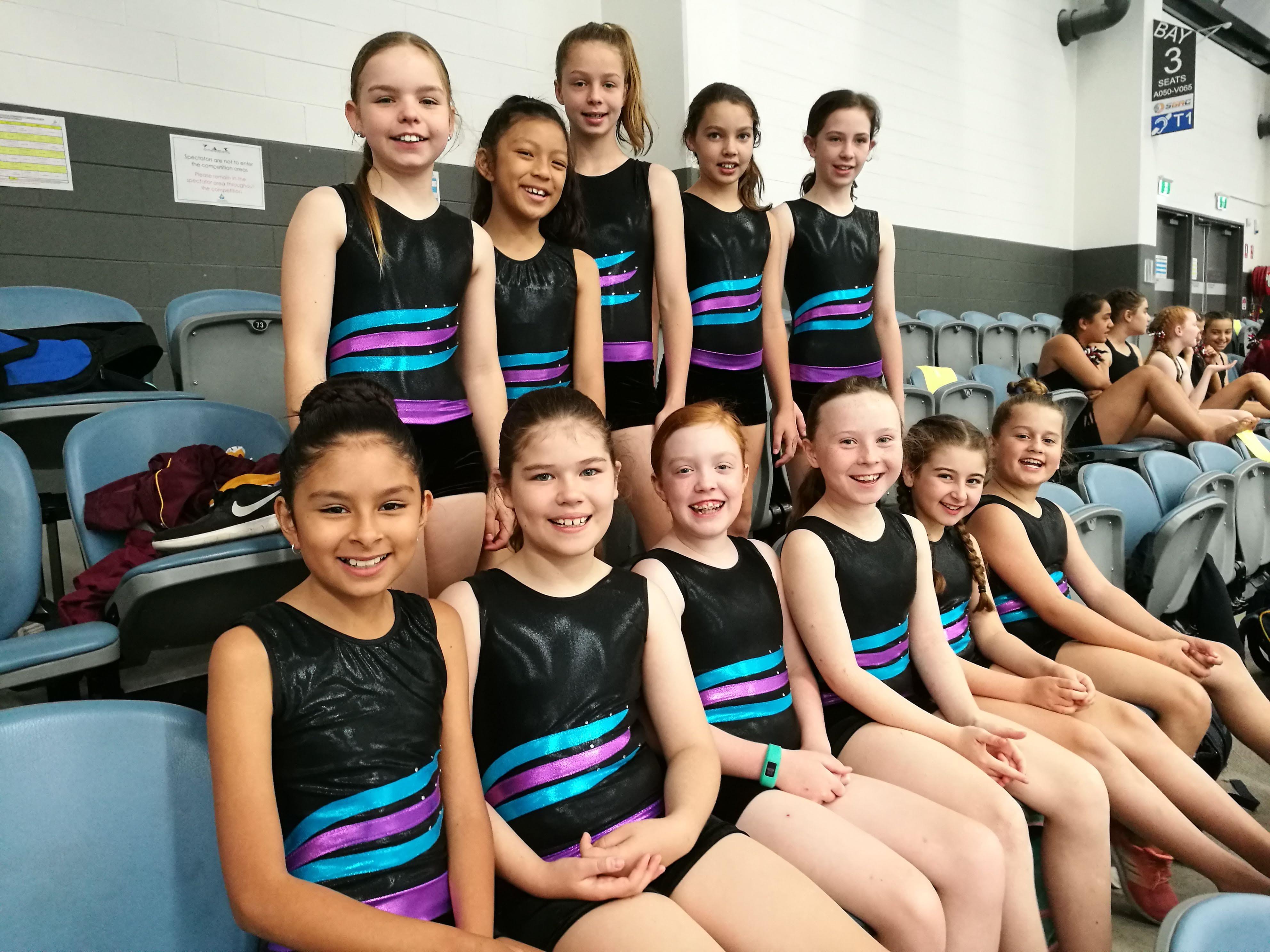 2018 Gymnastics Team