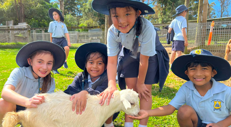 Learning partners for St Nicholas of Myra Primary