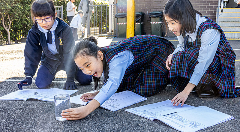 Personalised Learning at St Nicholas of Myra Primary School Penrith