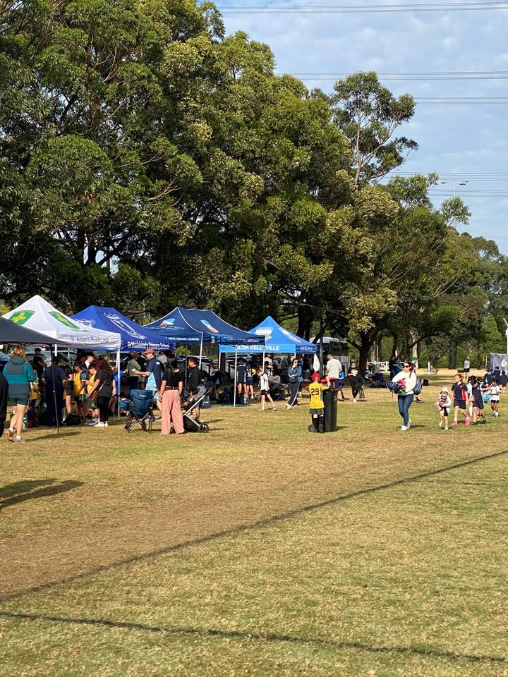 176022598337143_838427465429983-1