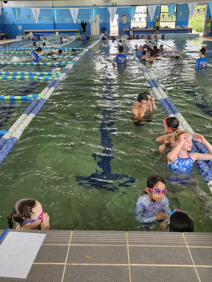 176022598337143_863241002948629-1