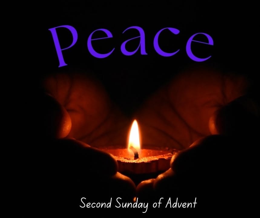 176022598337143_867480909191305-1