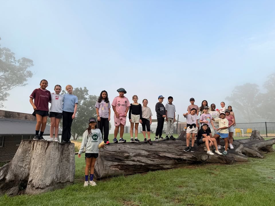 176022598337143_917085820897480-1