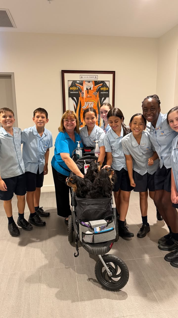 176022598337143_934111649194897-1